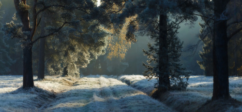 Source: http://expressions-of-nature.tumblr.com