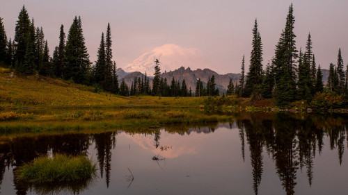 Source: http://worldtalks.tumblr.com