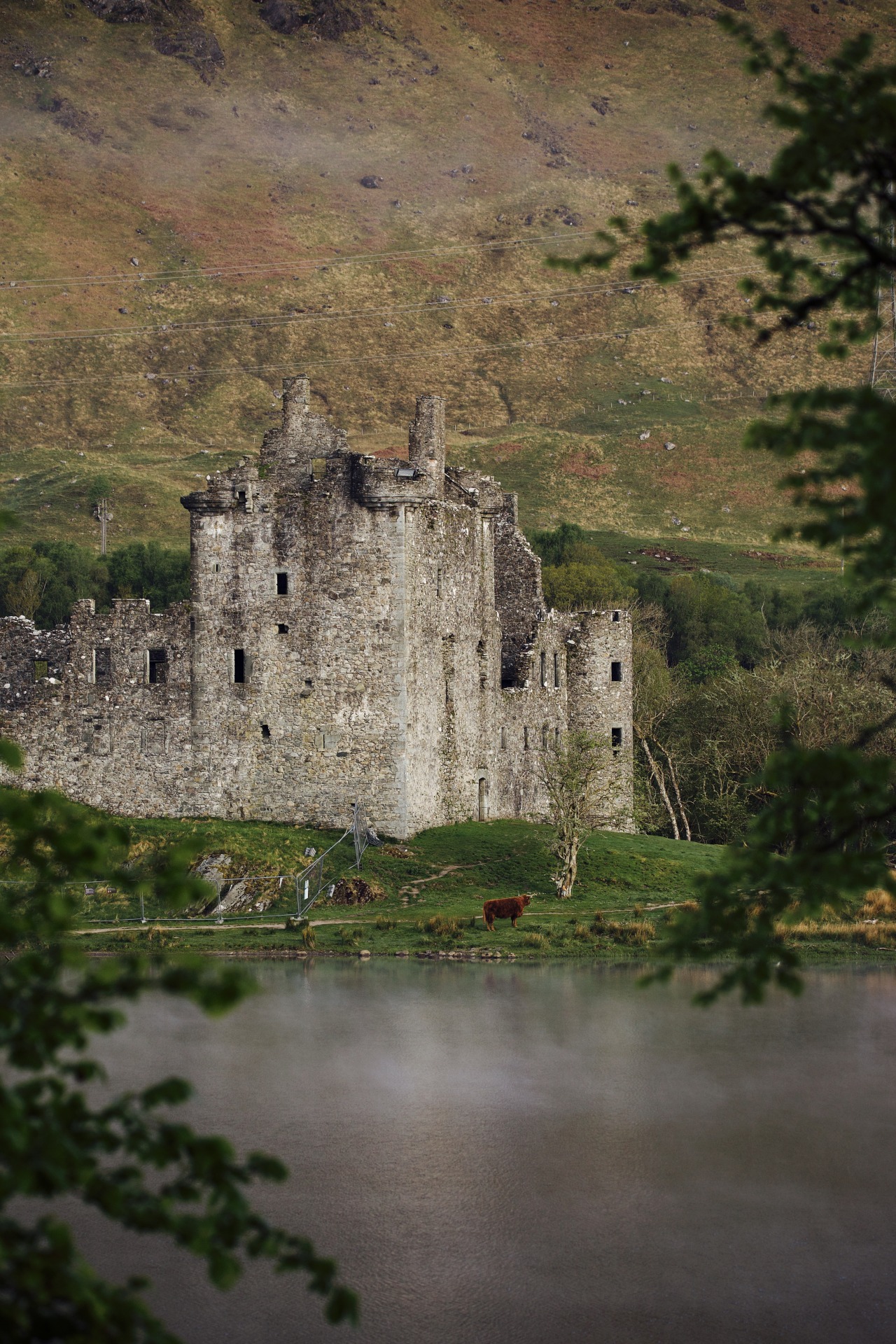 Source: http://kylebonallo.tumblr.com