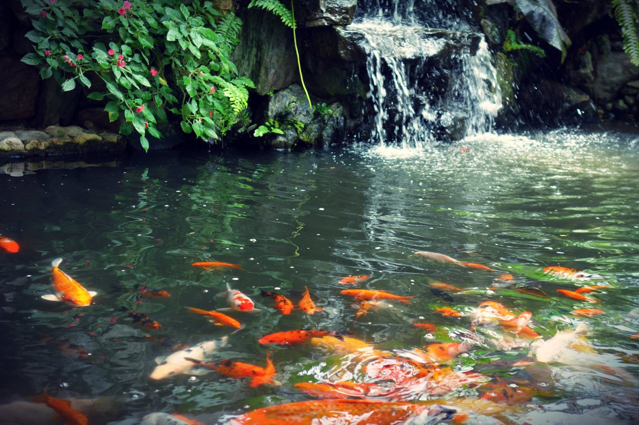 Source: http://tsukikages.tumblr.com