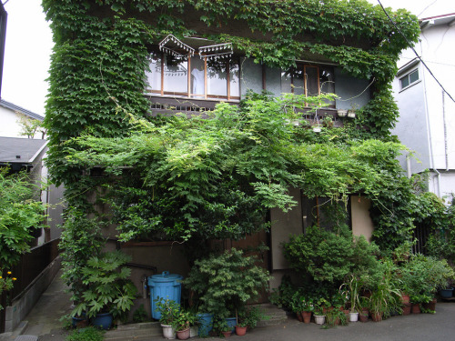 Source: http://tsukikages.tumblr.com