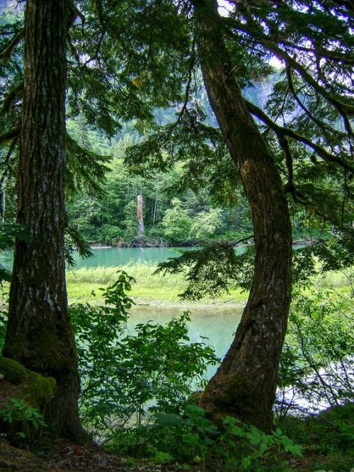 Source: http://faeriegardens.tumblr.com