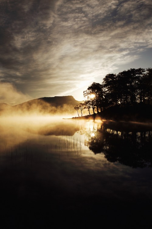 Source: http://kylebonallo.tumblr.com