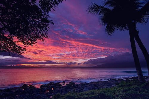 Source: http://shambholic.tumblr.com