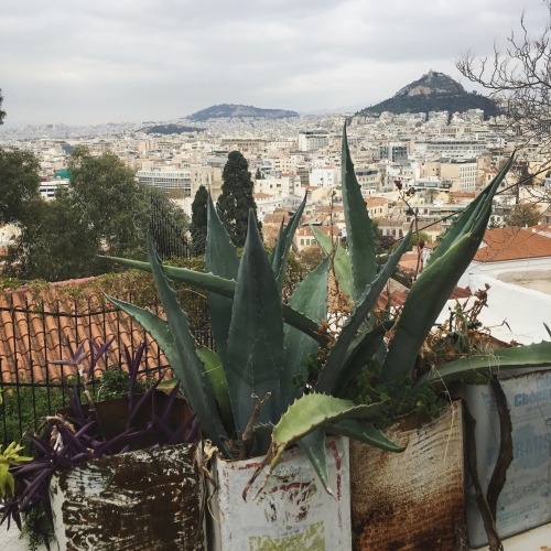 Source: http://alisaineurope.tumblr.com