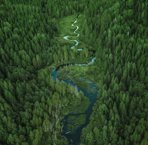 Source: http://expressions-of-nature.tumblr.com