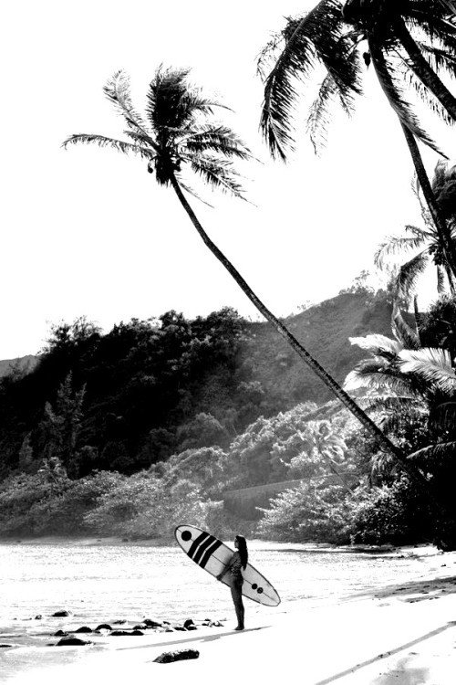 Source: http://cbssurfer.tumblr.com