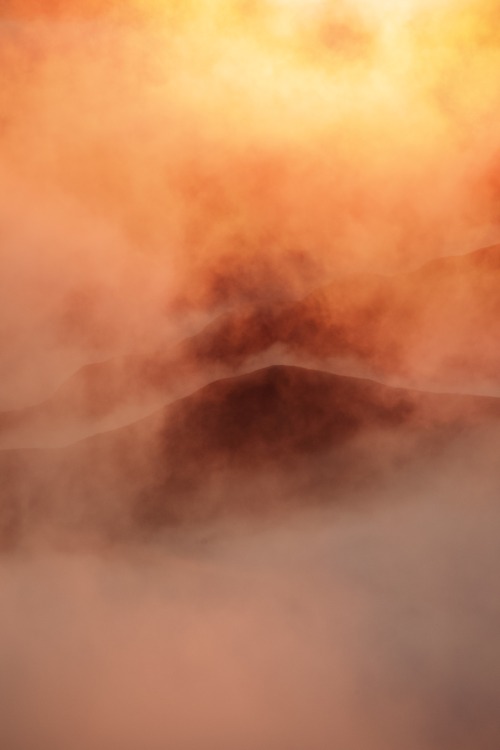 Source: http://kylebonallo.tumblr.com