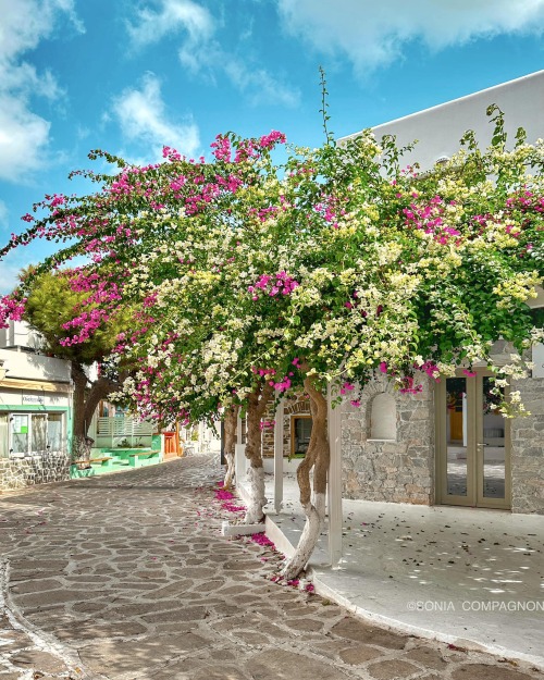 Source: http://gemsofgreece.tumblr.com