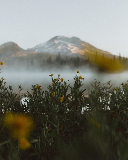 Source: http://whanderlost.tumblr.com