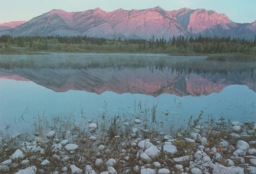 Source: http://imposer.tumblr.com