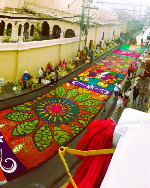 Source: http://hopefulkidshark.tumblr.com