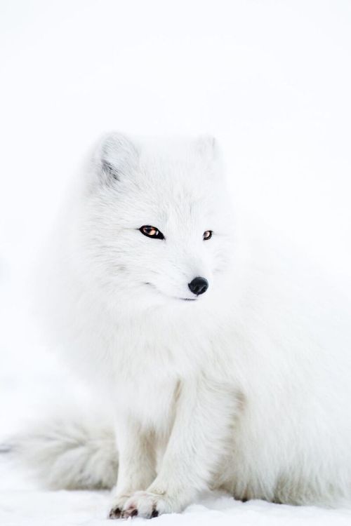 Source: http://deletingmyself.tumblr.com