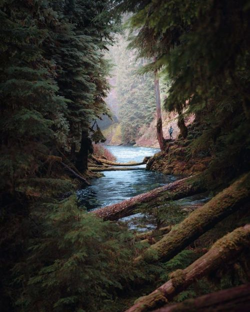 Source: http://junglerain.tumblr.com