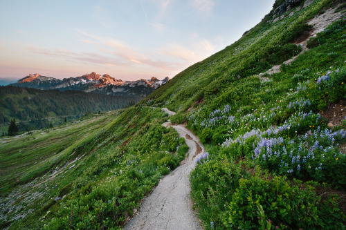 Source: http://solar-bar.tumblr.com