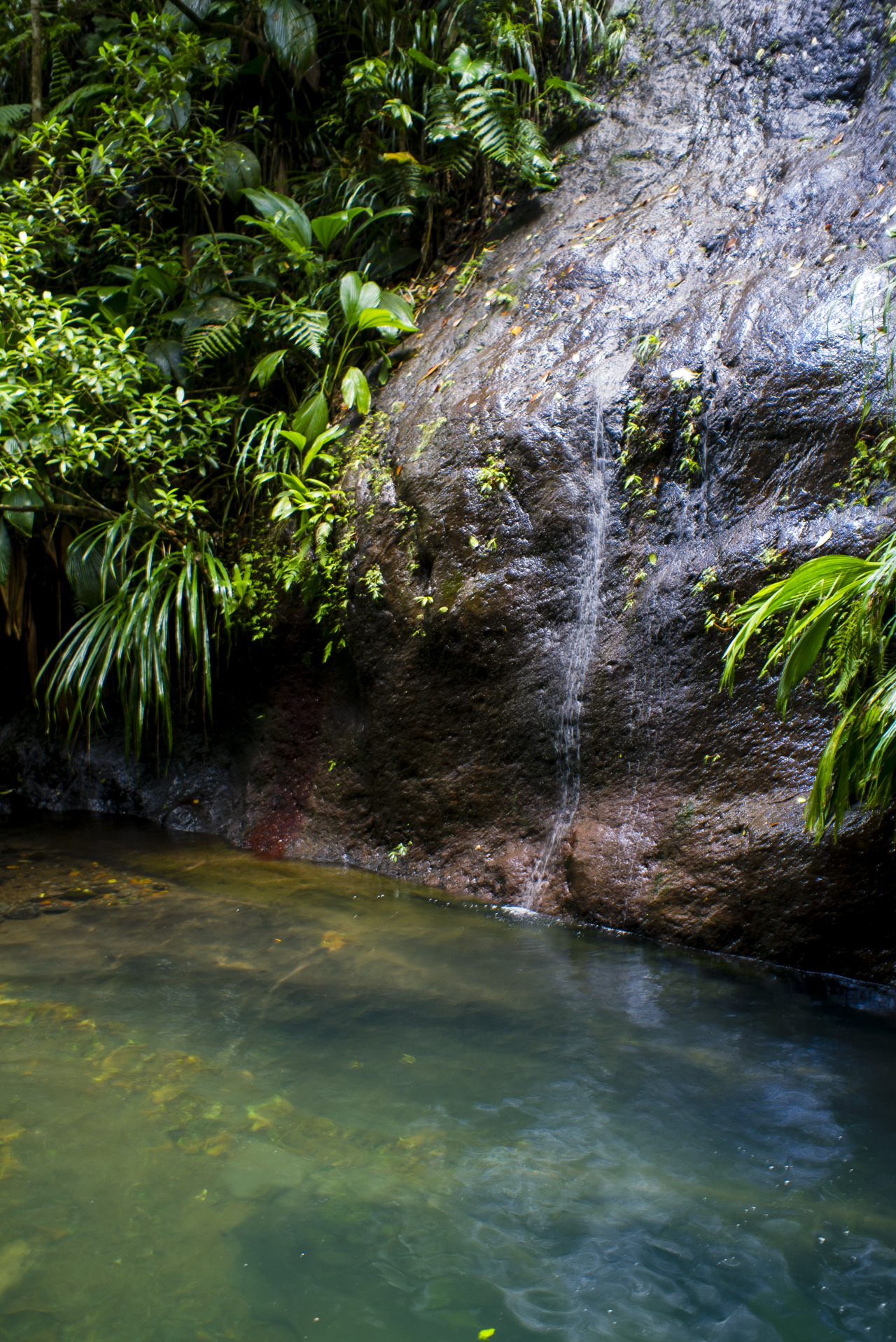 Source: http://satakentia.tumblr.com