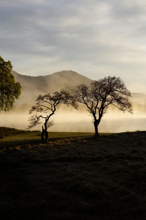 Source: http://kylebonallo.tumblr.com