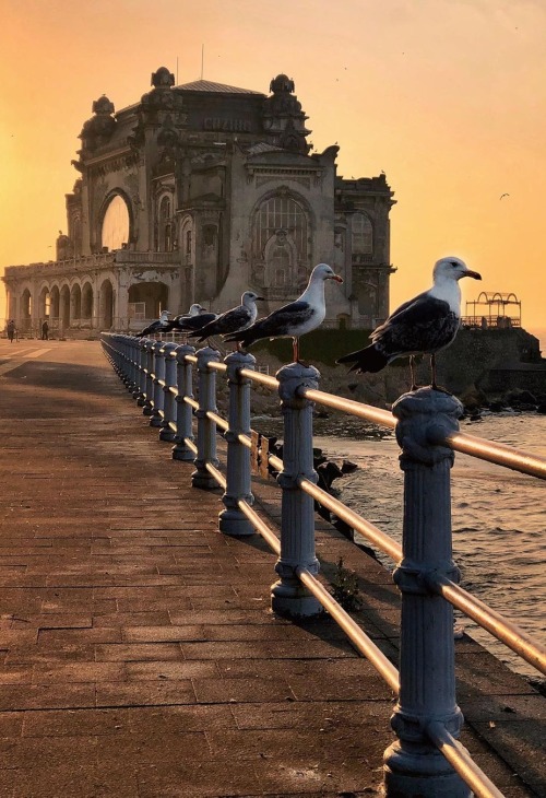 Source: http://hiddenromania.tumblr.com