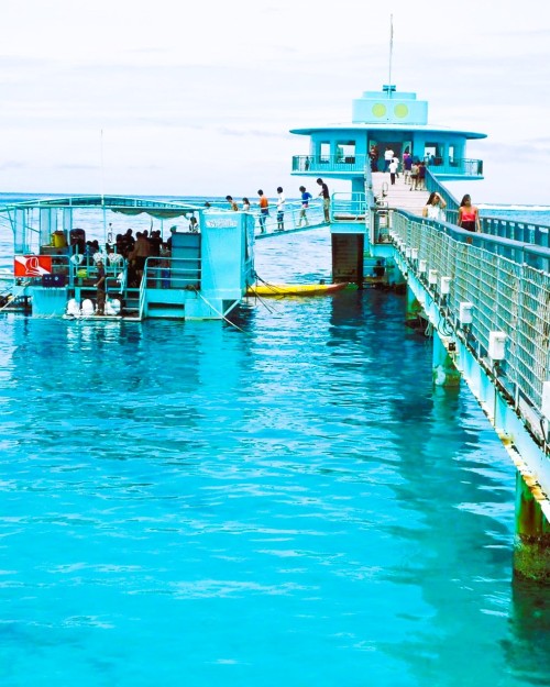 Source: http://oceaniastuff.tumblr.com