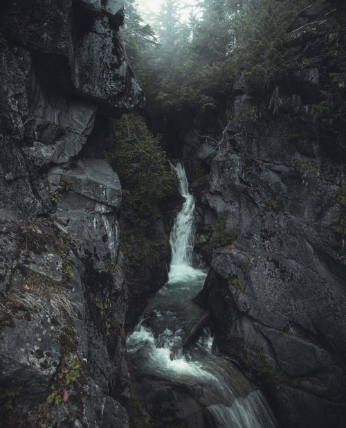 Source: http://whanderlost.tumblr.com