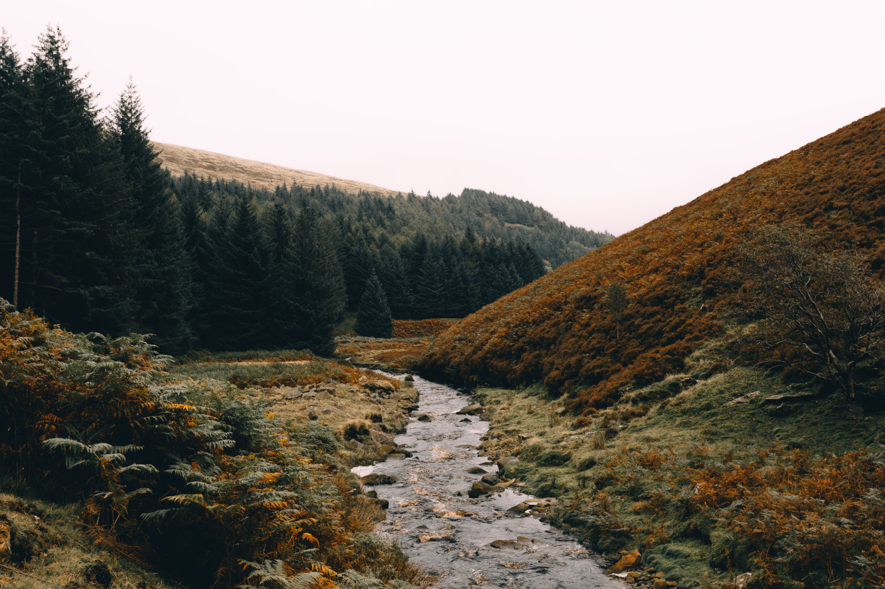 Source: http://deletingmyself.tumblr.com