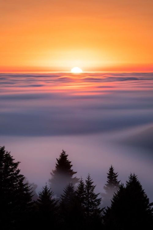 Source: http://j-k-i-ng.tumblr.com