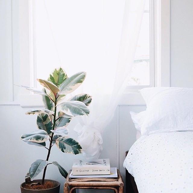 Source: http://fit-lifting-girl.tumblr.com