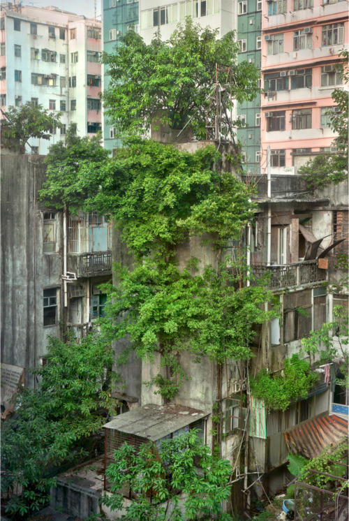 Source: http://tsukikages.tumblr.com