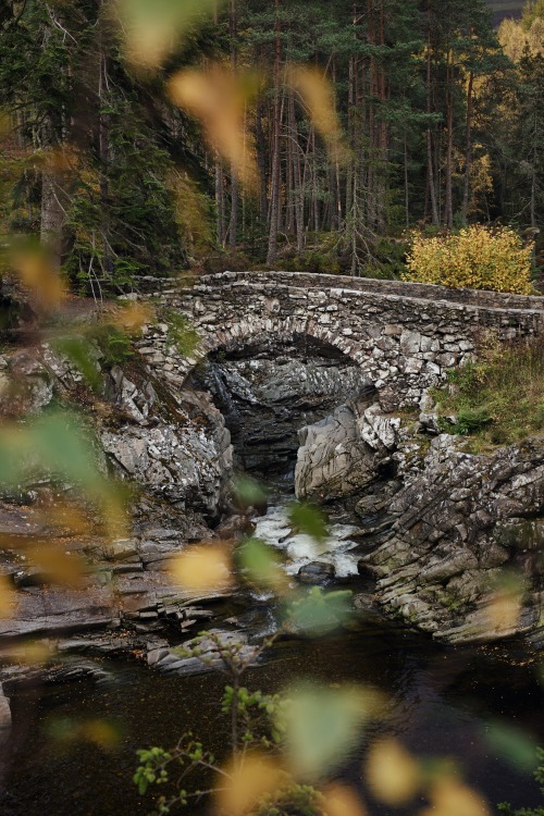 Source: http://satakentia.tumblr.com