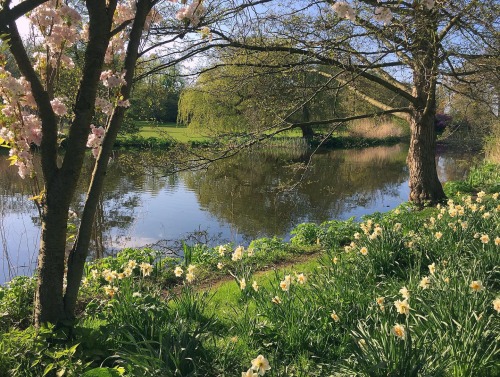 Source: http://faeriegardens.tumblr.com