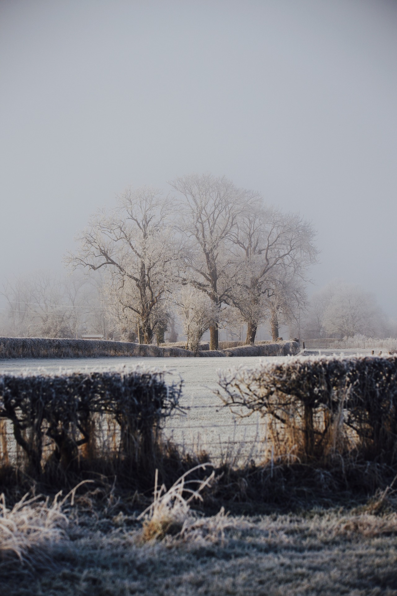 Source: http://kylebonallo.tumblr.com