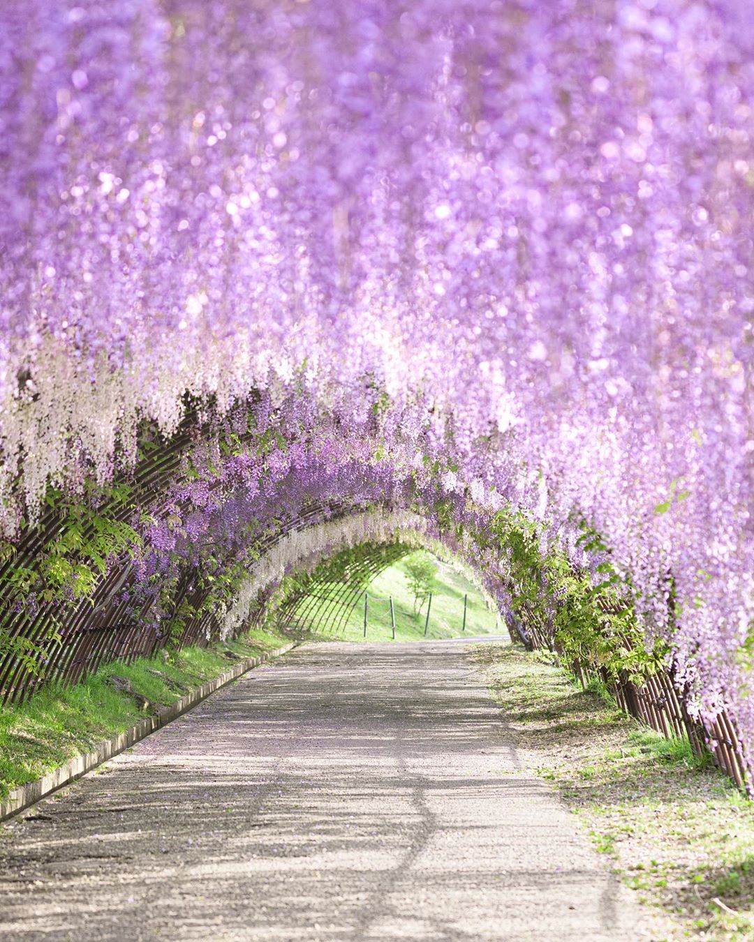 Source: http://tsukikages.tumblr.com