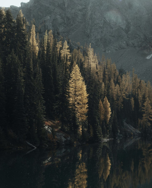 Source: http://whanderlost.tumblr.com