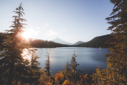 Source: http://breathings.tumblr.com