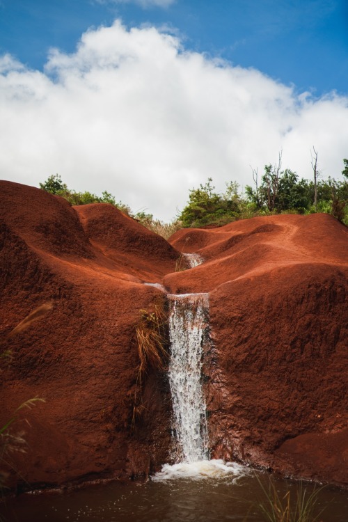 Source: http://expressions-of-nature.tumblr.com