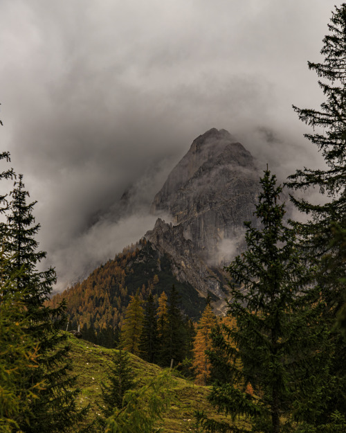 Source: http://nature-hiking.tumblr.com