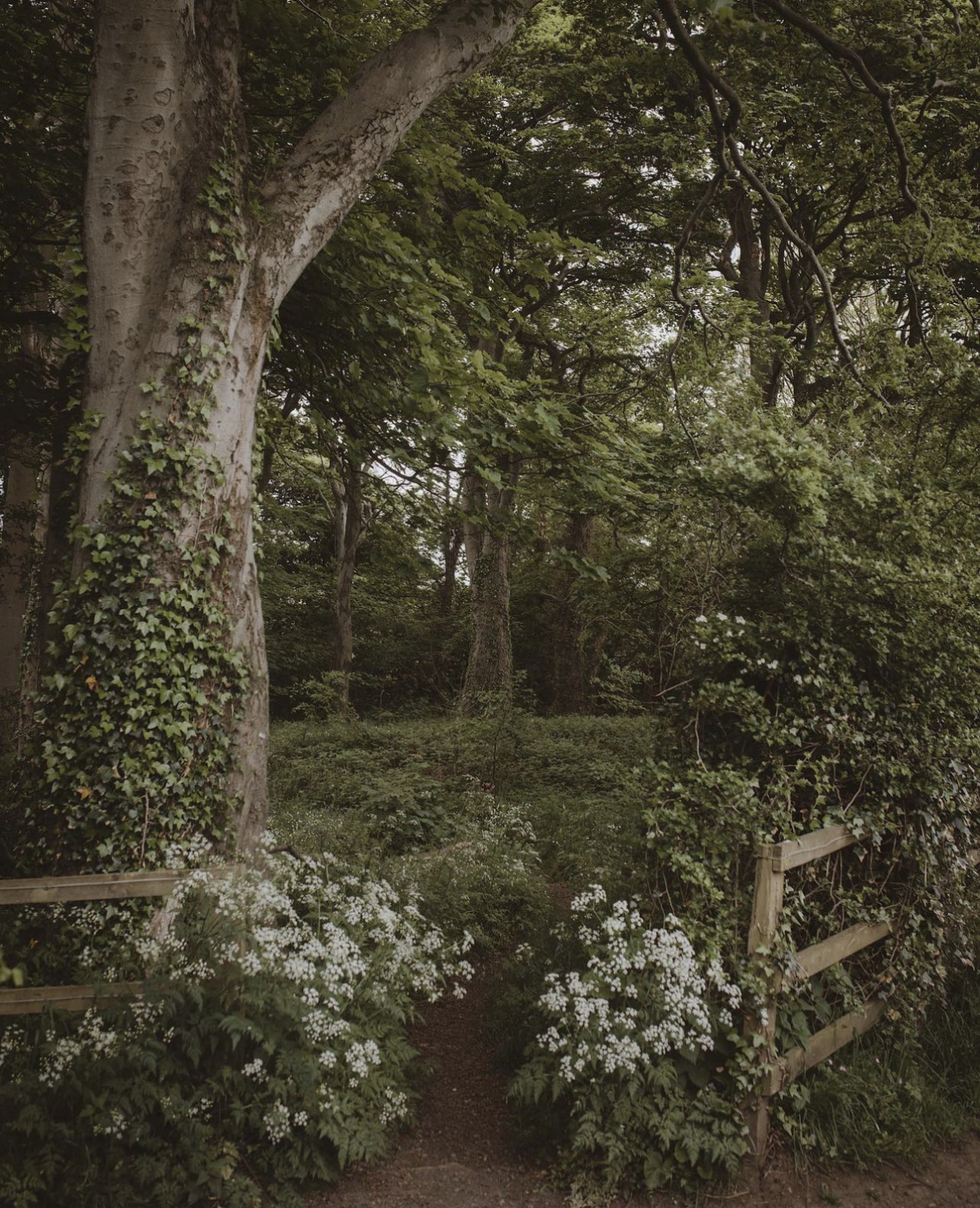 Source: http://faeriegardens.tumblr.com