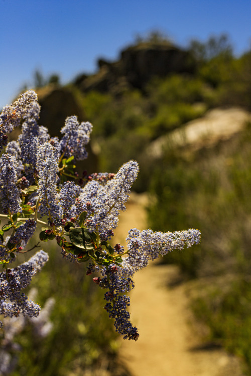 Source: http://satakentia.tumblr.com