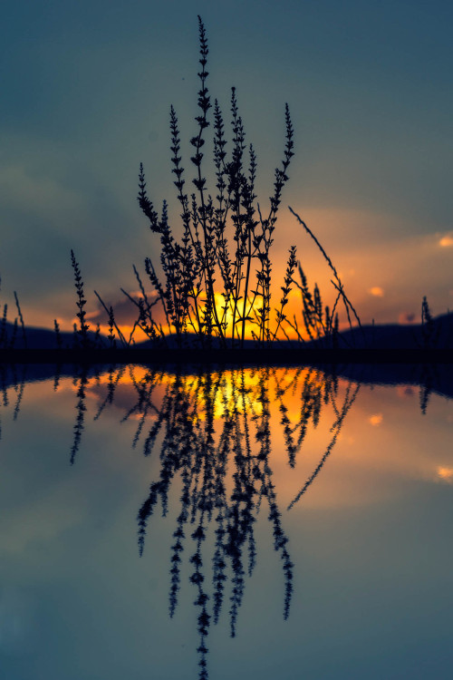 Source: http://satakentia.tumblr.com