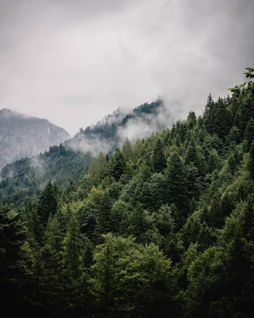 Source: http://whanderlost.tumblr.com