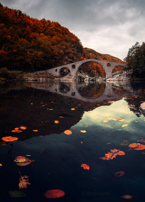 Source: http://coiour-my-world.tumblr.com