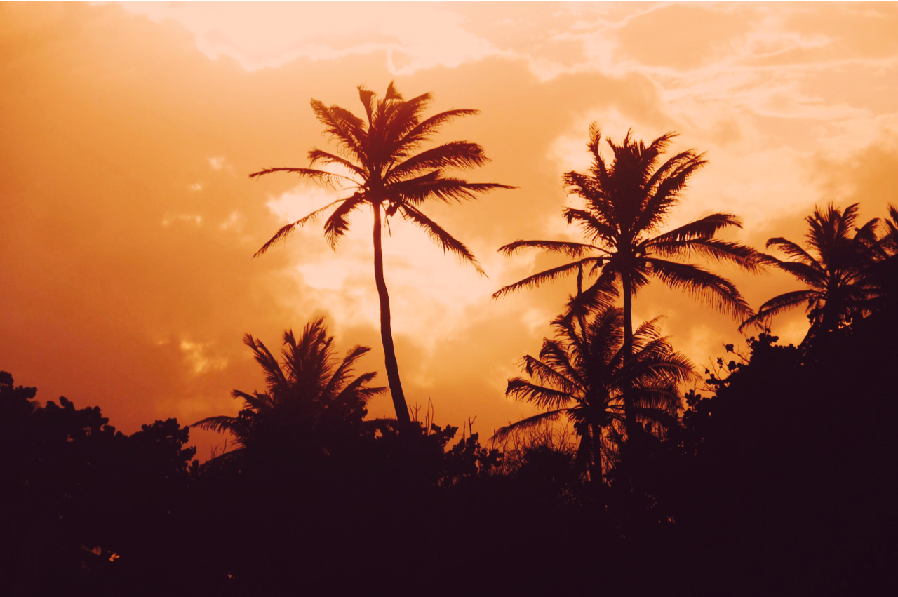 Source: http://solar-bar.tumblr.com