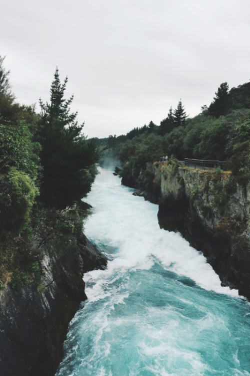 Source: http://junglerain.tumblr.com