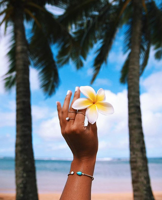 Source: http://tropic-havens.tumblr.com