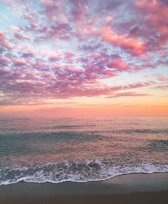 Source: http://shambholic.tumblr.com